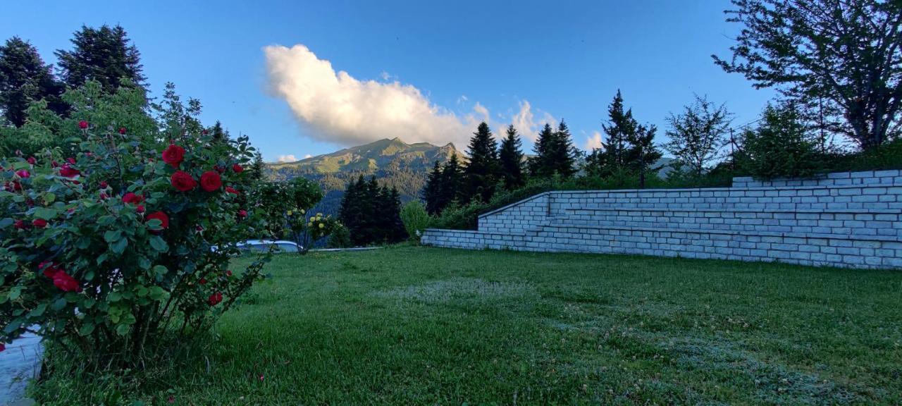 Ξενοδοχείο Μαγκιωση Neraidochori Exterior photo
