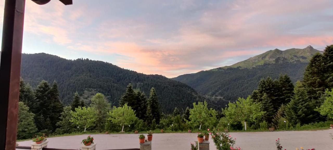 Ξενοδοχείο Μαγκιωση Neraidochori Exterior photo