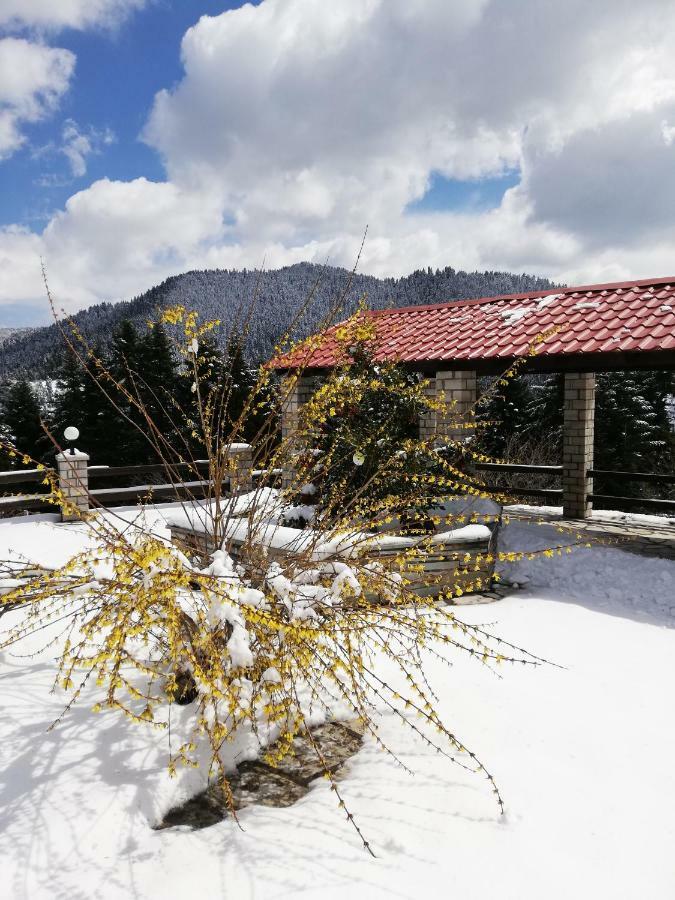 Ξενοδοχείο Μαγκιωση Neraidochori Exterior photo